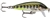 Rapala CD05 Countdown Minnow