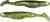 Reaction Innvoations Little Dipper soft swimbait