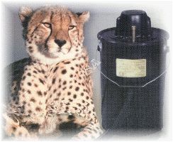 Love-Less Ash Vacuum Cheetah II Black