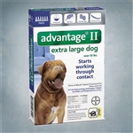 Advantage II Blue (Dogs 55+ lbs) 6 pack