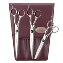 Geib Entree 8.5" Shears & Blender Set