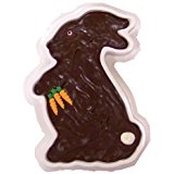 9 oz Chocolate Nut Fudge Bunny