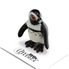Little Critterz - "Simon" African Penguin