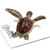 Little Critterz - "Tortuga" Green Sea Turtle