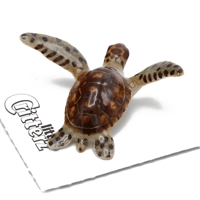 Little Critterz - "Tortuga" Green Sea Turtle