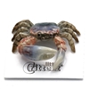 Little Critterz - "Claw" Fiddler Crab