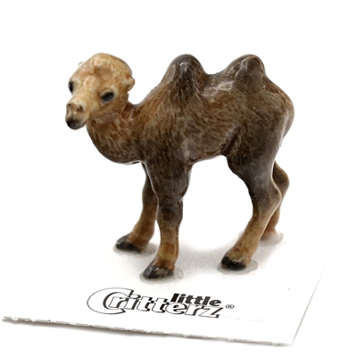 Little Critterz - "Mongolia" Bactrian Camel