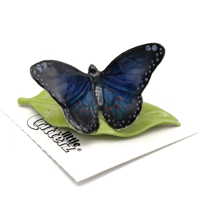 Little Critterz - "Venus" Blue Morpho Butterfly