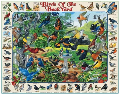 Puzzle - Birds of the Back Yard
