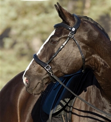 Barefoot Wellington Contour Bridle