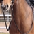 Barefoot Anti-Slip Reins - Super Grip