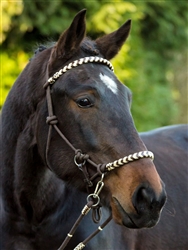 Barefoot Seneca 3-in-1 Halter Bridle