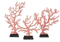 Red Coral Branch Medium