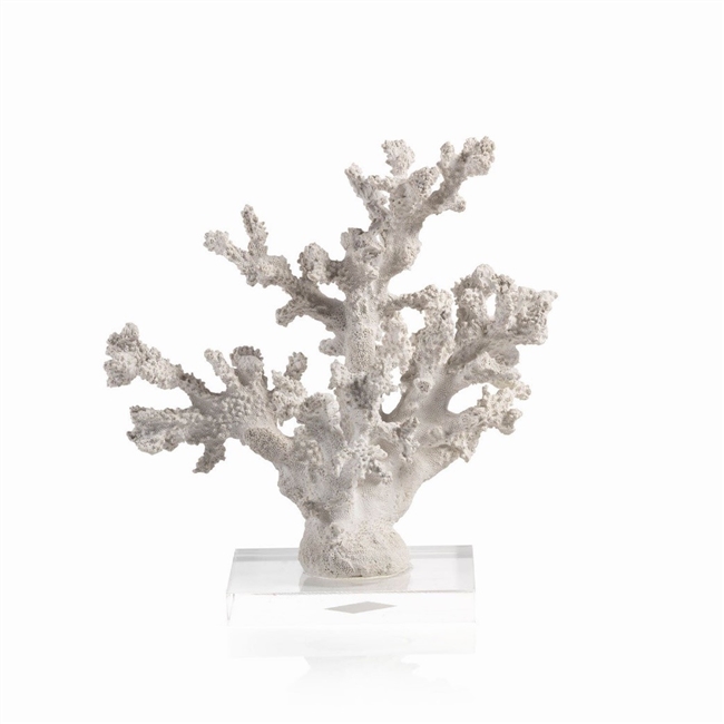 White Sampler Coral on Acrylic Base