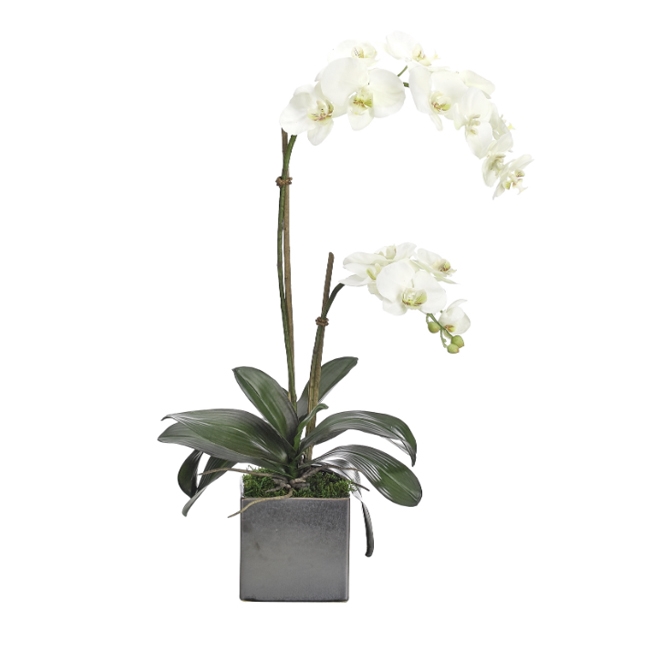 White Orchid w/ Ceramic Cube