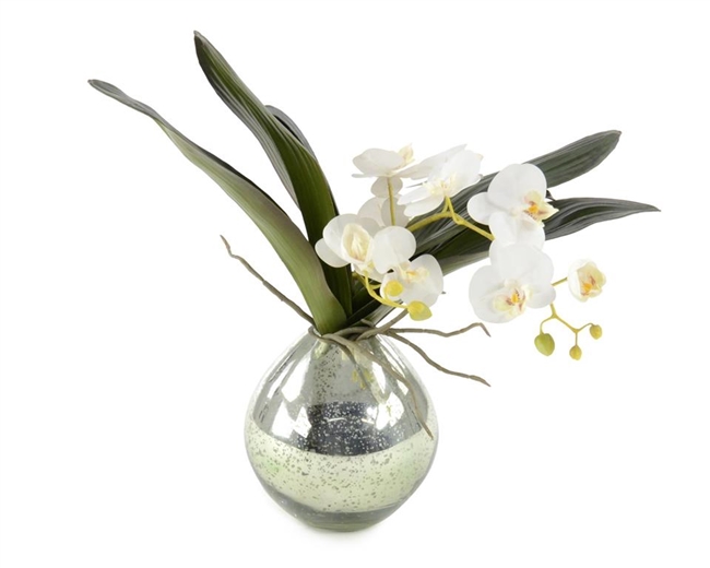 Green Mercury Vase Orchids