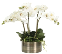 Orchid in Brass Bowl Arrangement