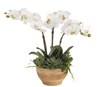 Orchid in Wood Bowl Arrangement