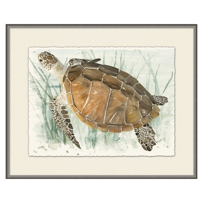 Watercolor Turtle II