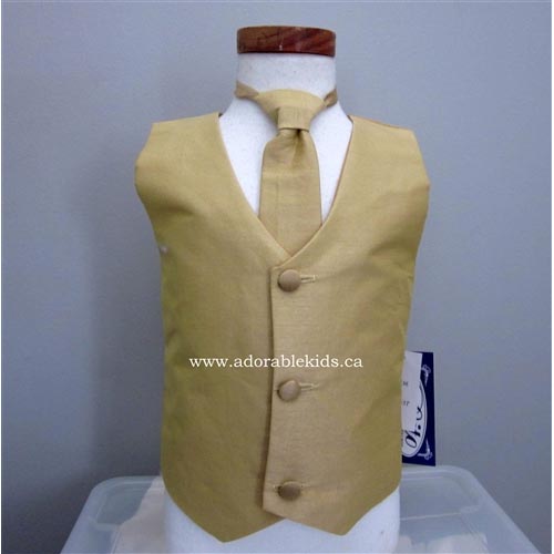 Poly-silk  Vest & Neck tie Set - Gold