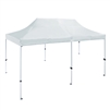 ALEKO&reg; GZF10X20GR 10X20 Foot (3 X 6 m) Gazebo Tent 420D Oxford, White