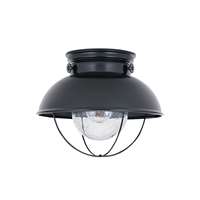 1-LT Outdoor Ceiling Flush Mount