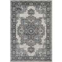 Alexandria Light Gray Bordered Rectangular Area Rug 8'9"x11'9"