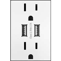 Dual USB Plus-size Outlet Combo