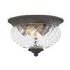 Outdoor Ceiling Light