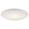 Ceiling Space 16" LED Flush Mount