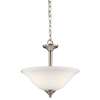 Armida 2-LT Convertible Pendant & LED Bulbs