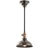 Cobson 8" 1-LT Convertible Mini Pendant