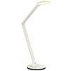 LED Table Lamp