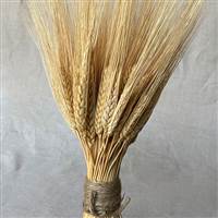 Triticum Wheat Stack Natural Small