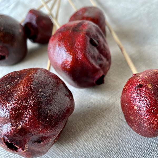 Pomegranate Polished Stem, Dried Pod