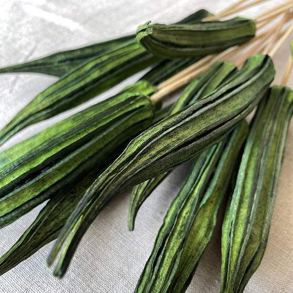 Okra Pod Stem Grass Green, Dried Pod