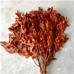 Transparent Oak Rust 1 lb