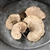 Sponge Mushroom Natural Pick, Dried Pod