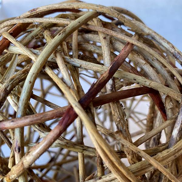 Curly Willow Ball 4" Natural