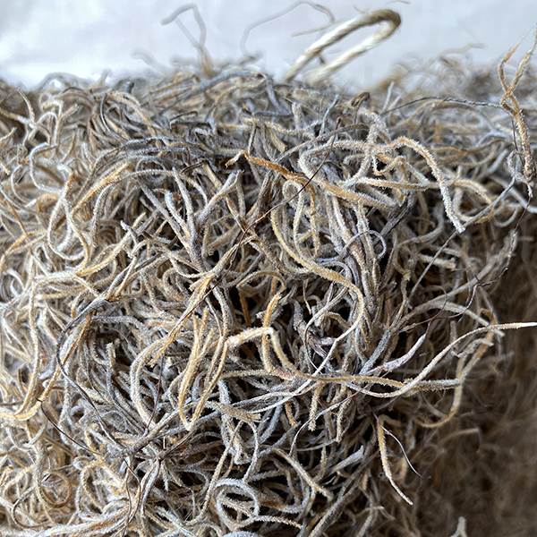 Spanish Moss Bale