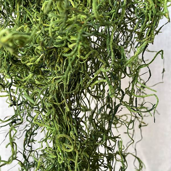 Spanish Moss Green Bag