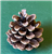 Austriaca Pine Cones Natural