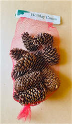 Cinnamon Cone Mesh Bag