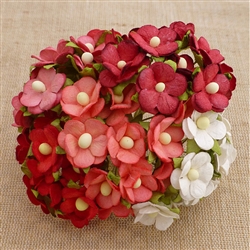 Mixed Red and White Sweetheart Blossom Flowers SAA-332