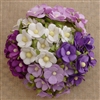 Mixed Purple/Lilac and White Sweetheart Blossom Flowers SAA-333