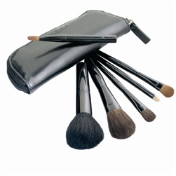 DELUXE 6 PCS BRUSH SET