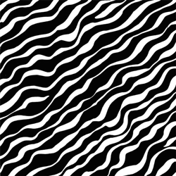 Black Zebra Gift Wrap | Party Supplies