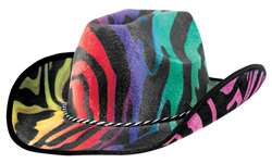Rainbow Velour Cowboy Hat | Party Supplies