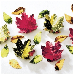 Leaves 3-D Confetti Mix | Party Supplies