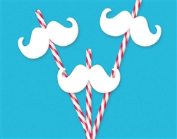 Christmas Mustache Straw | Party Supplies